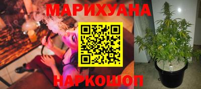стафф Заволжье