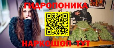 стафф Заволжье
