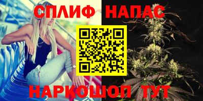 спайс Дубна