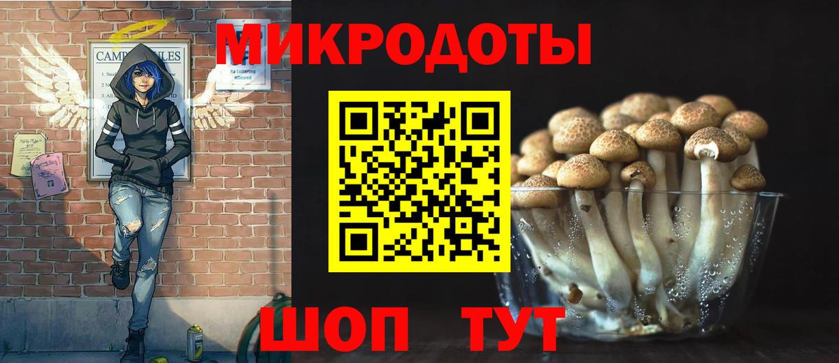 Псилоцибиновые грибы мицелий Благовещенск