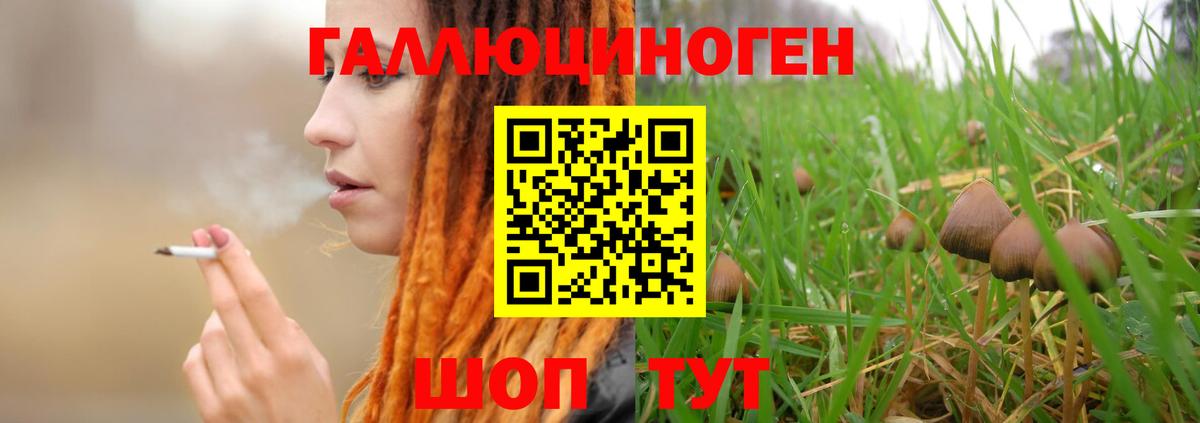 Благовещенск  Галлюциногенные грибы MAGIC MUSHROOMS  Вход с VPN 